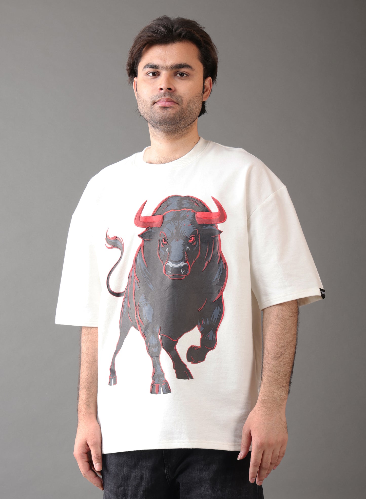 BULL TITAN_X