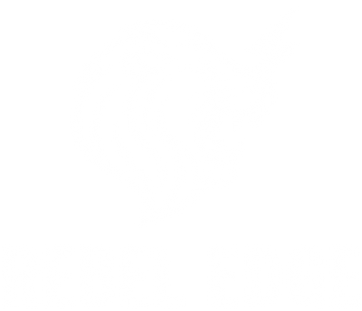 REBEL EDGE